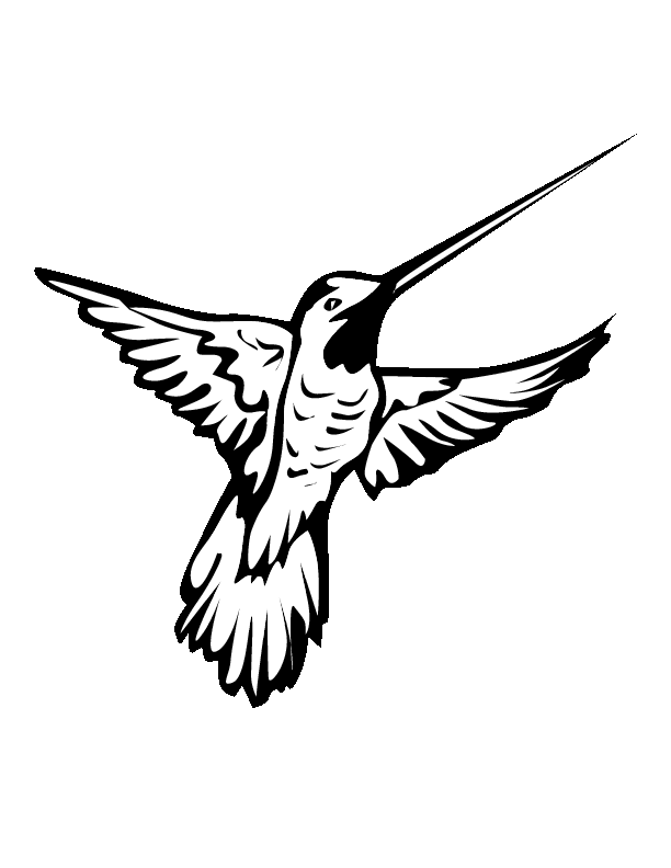 free hummingbird clipart black and white - photo #17
