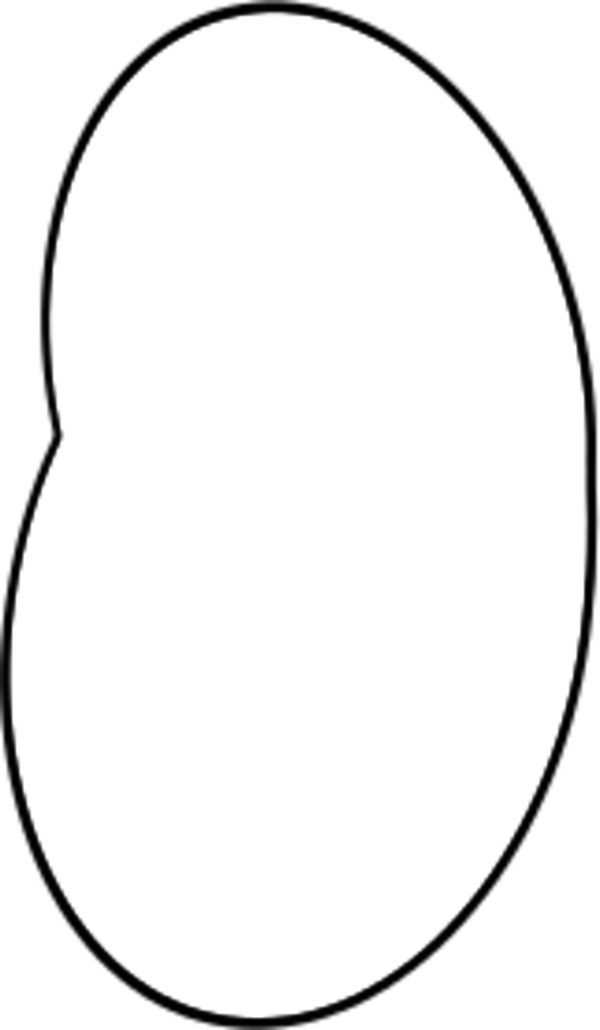 bean art line - vector Clip Art