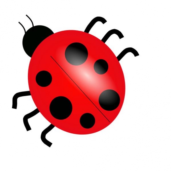 clipart insects and bugs - photo #8