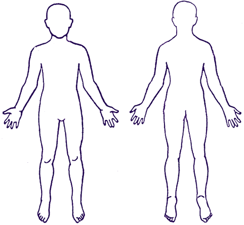 Outline Of The Body - ClipArt Best