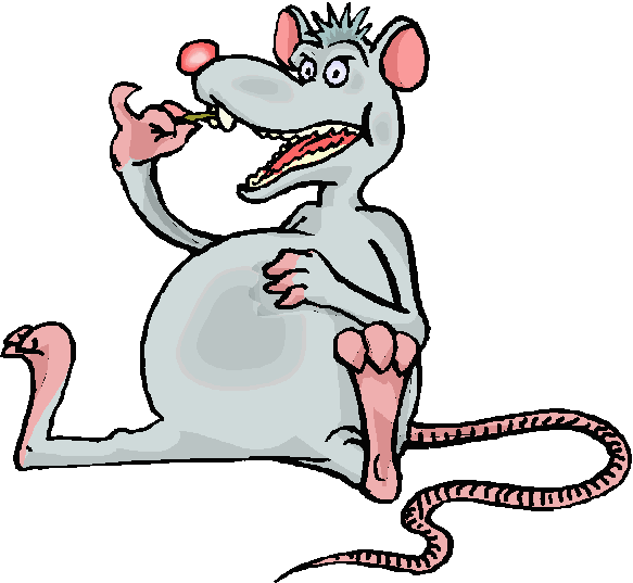 clipart pictures of rats - photo #31