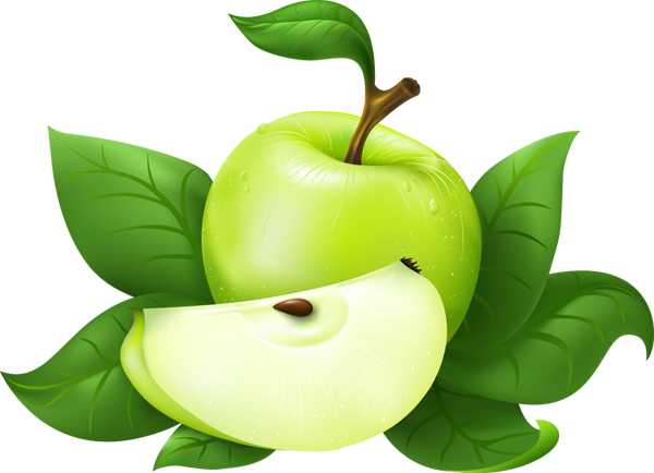 free clipart green apple - photo #33