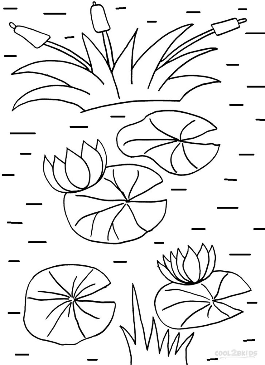 Show me more lilly pad colouring pages, lily pad coloring page ...