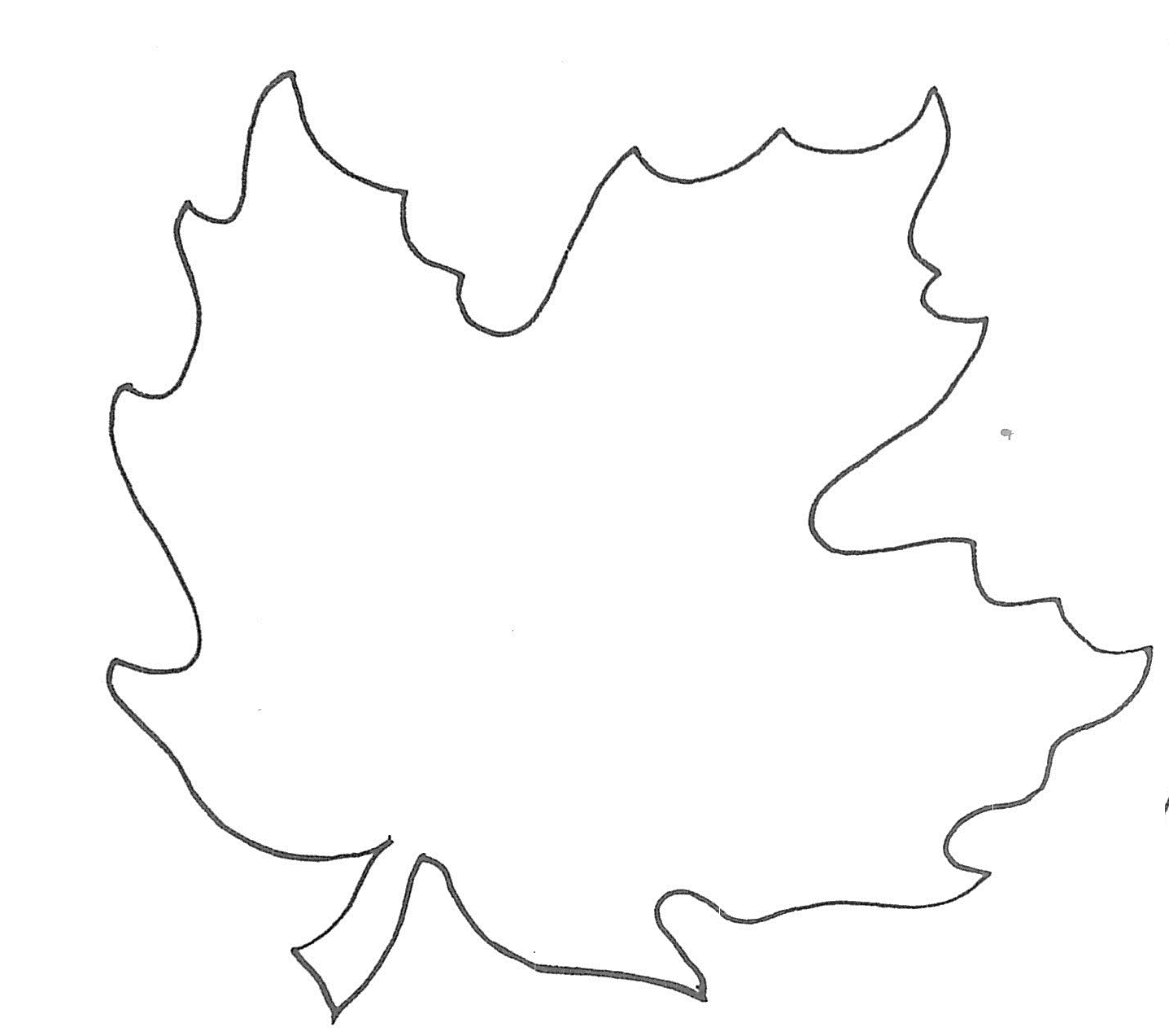 Leaf Template Cliparts co