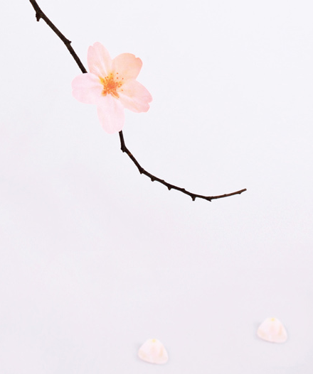 MochiThings.com: Large Cherry Blossom Sticky Note