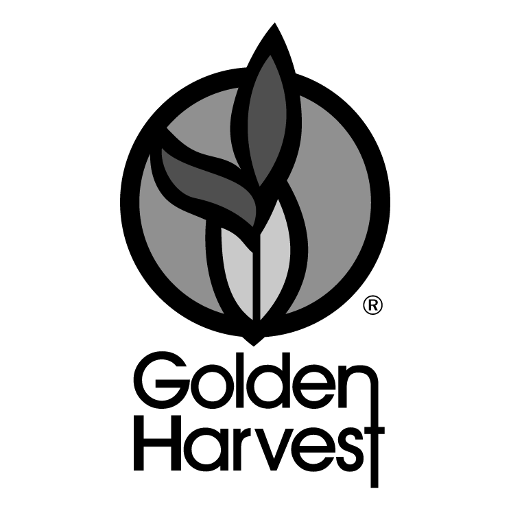 Golden harvest Free Vector / 4Vector