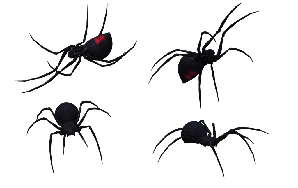 Black Widow Spider Set 12 by Free-Stock-By-Wayne on deviantART