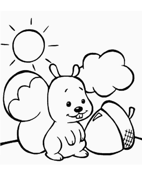 Cute Baby Squirrel and Oak Nut Coloring Page - Download & Print ...