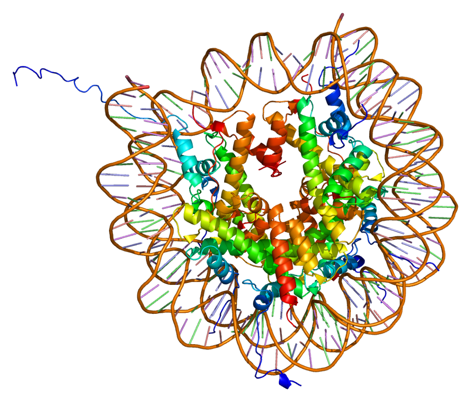 Animal Cell Diagram Labeled For Kids