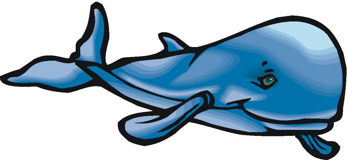 baby whale clipart - photo #49