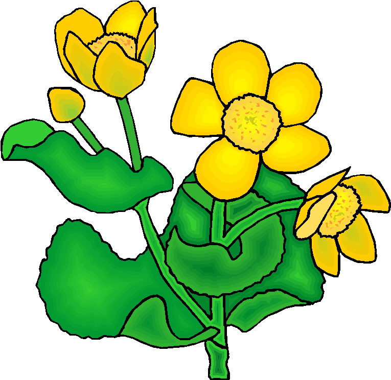 Plant Clip Art For Elementary Students | Clipart Panda - Free ...