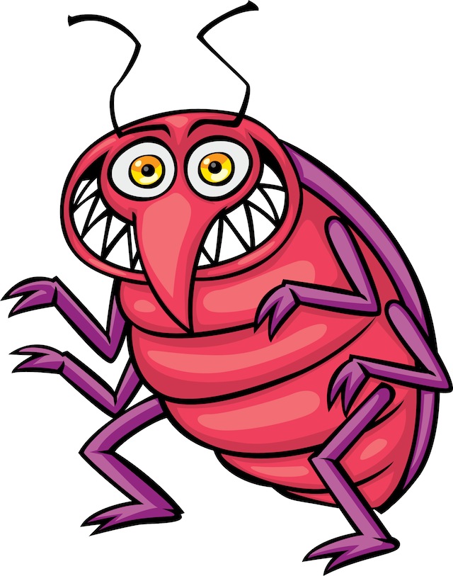 Bed Bug Photos, Clipart Images & Pics: What do Bed Bugs Look Like ...