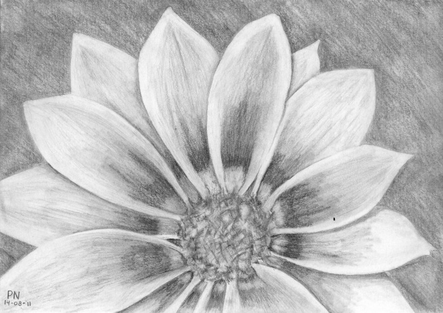 Another flower sketch by b03tz on DeviantArt