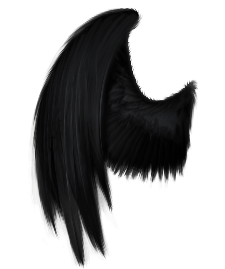 Black angel wing PNG by StarsColdNight on DeviantArt