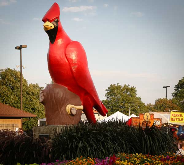 OHIO State Bird: Cardinal