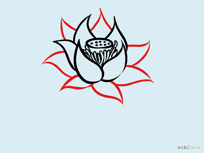 How to Draw a Lotus Flower: 7 Steps (with Pictures) - wikiHow