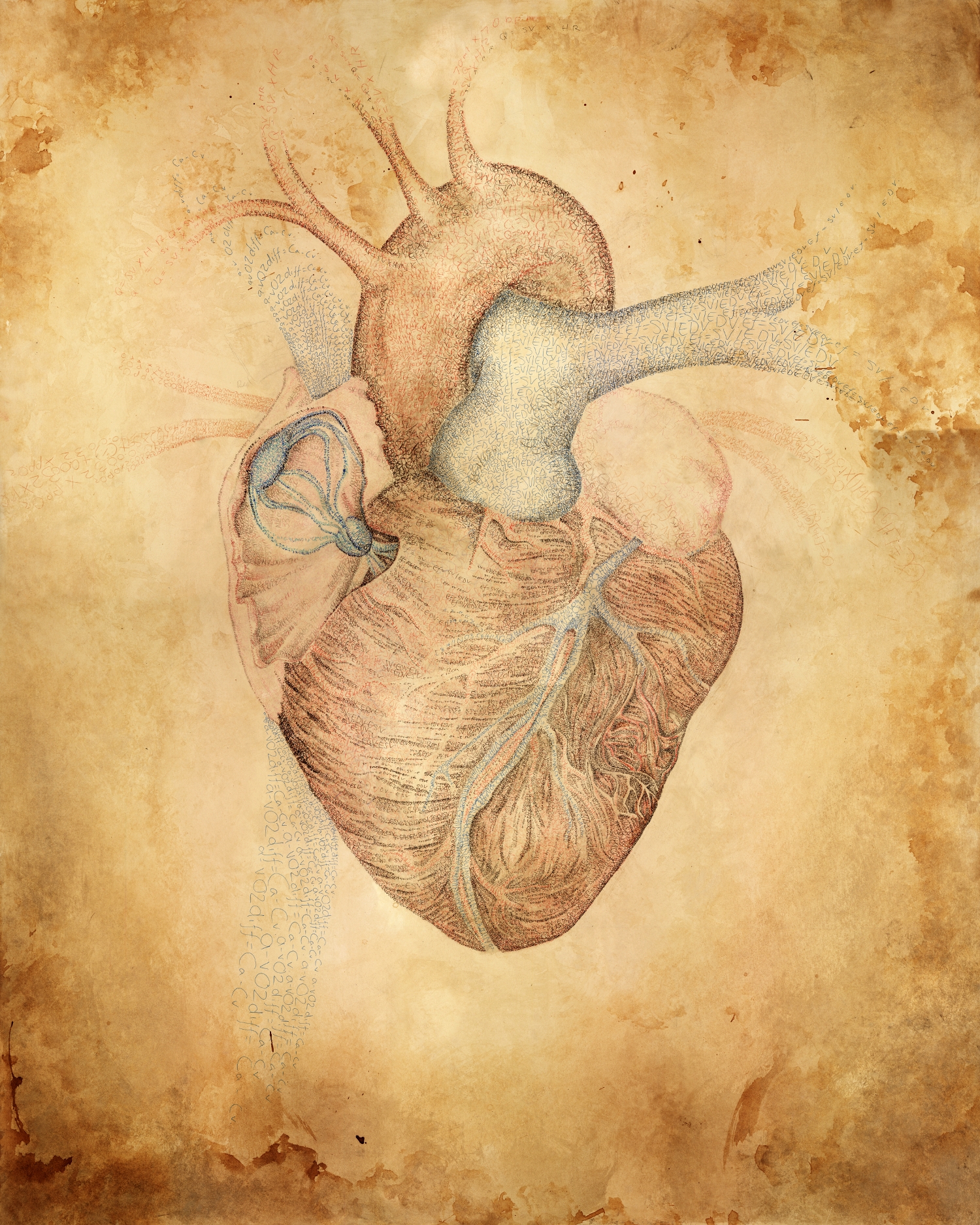 Human Heart Drawing - HD Photos Gallery