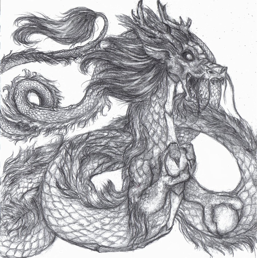 DeviantArt: More Artists Like Chinese Dragon by mythcraze776