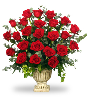 Rose Arrangement Pictures | Send Roses | Flower Shop Network