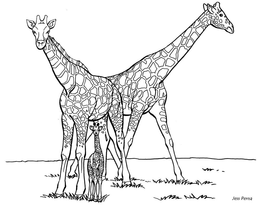 Giraffe Coloring Book - AZ Coloring Pages