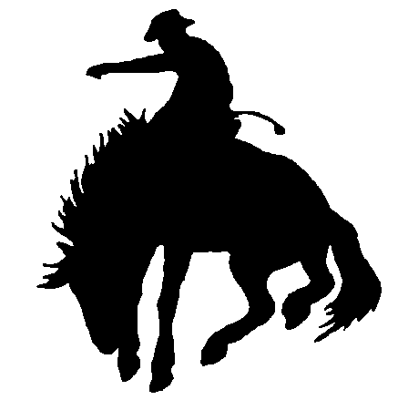 Rider Cowboy Wall Decal - Custom Wall Graphics