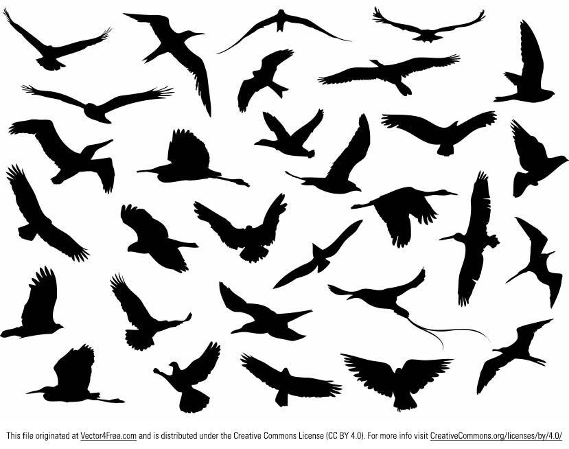 Bird Silhouette - Cliparts.co