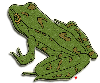 Realistic Frog Clipart, Echo's Frog Clipart Collection for Free ...