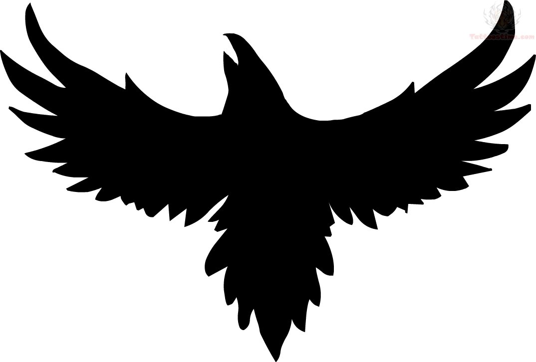 Black Crows Flying