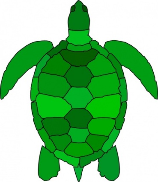 Turtle clip art Vector | Free Download