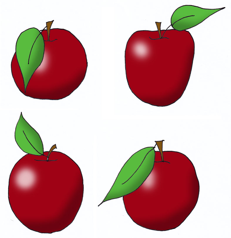Apple Leaf Template Cliparts co