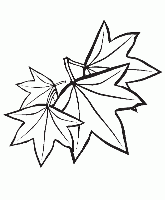 Trees and leaves | Free Printable Coloring Pages ...