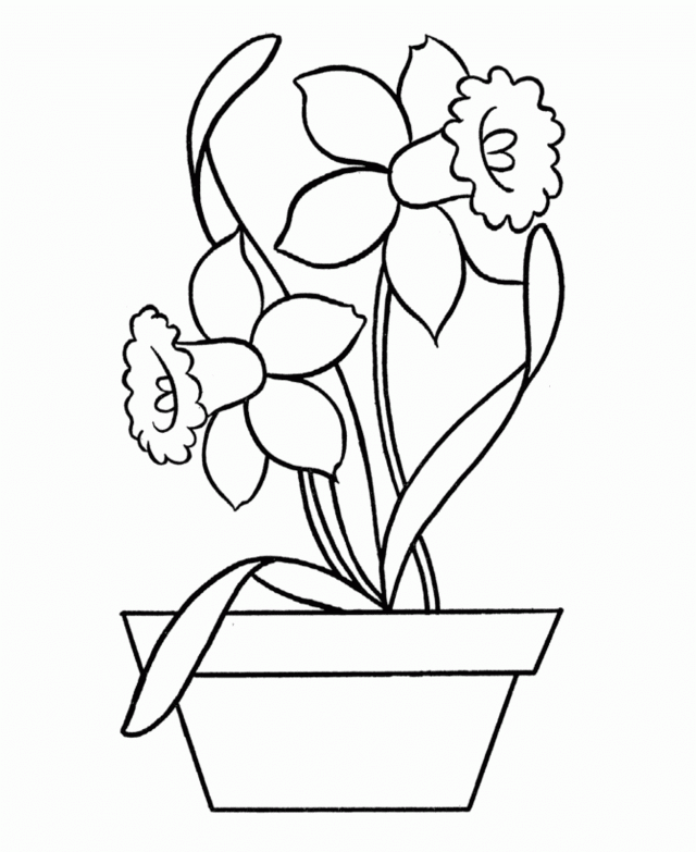 Download Daffodil Flower Coloring Page Or Print Daffodil Flower ...