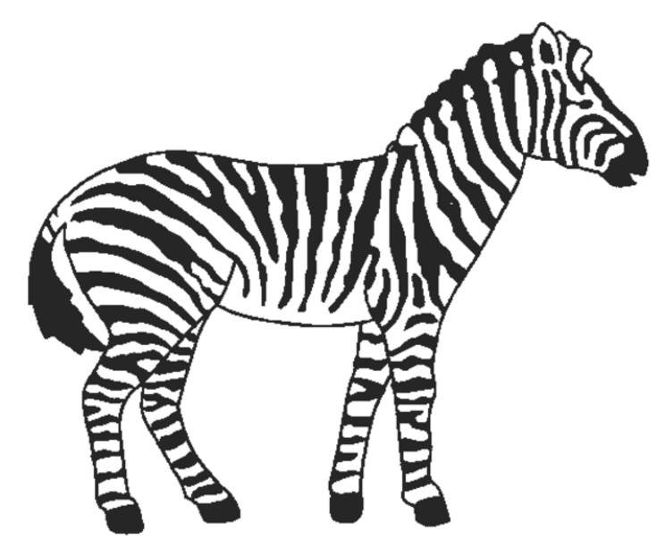 Simple Zebra Drawing - Gallery