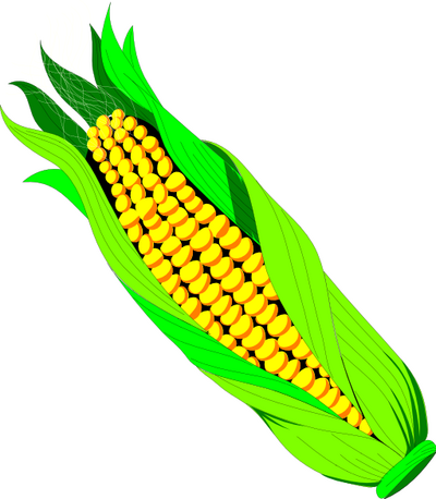 Pix For > Animated Corn
