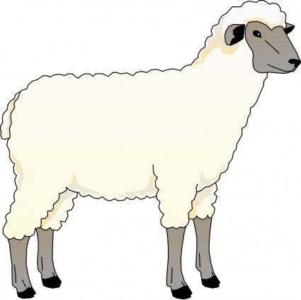 Sheep illustration Free vector for free download (about 11 files).