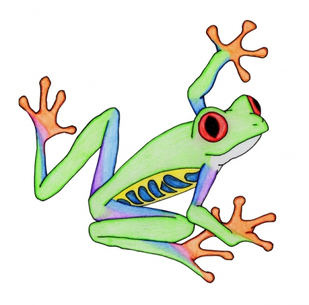 Draw Cartoon Red Eyed Tree Frog
