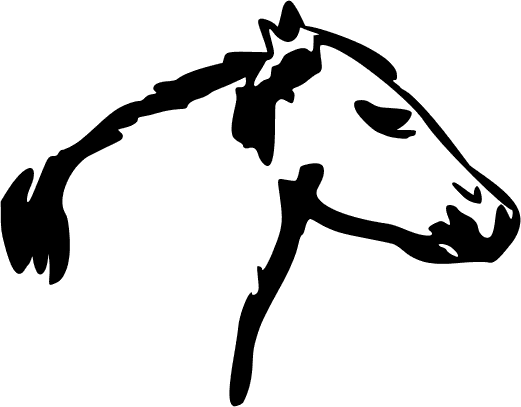 Free Horse Head Clipart, 1 page of Public Domain Clip Art