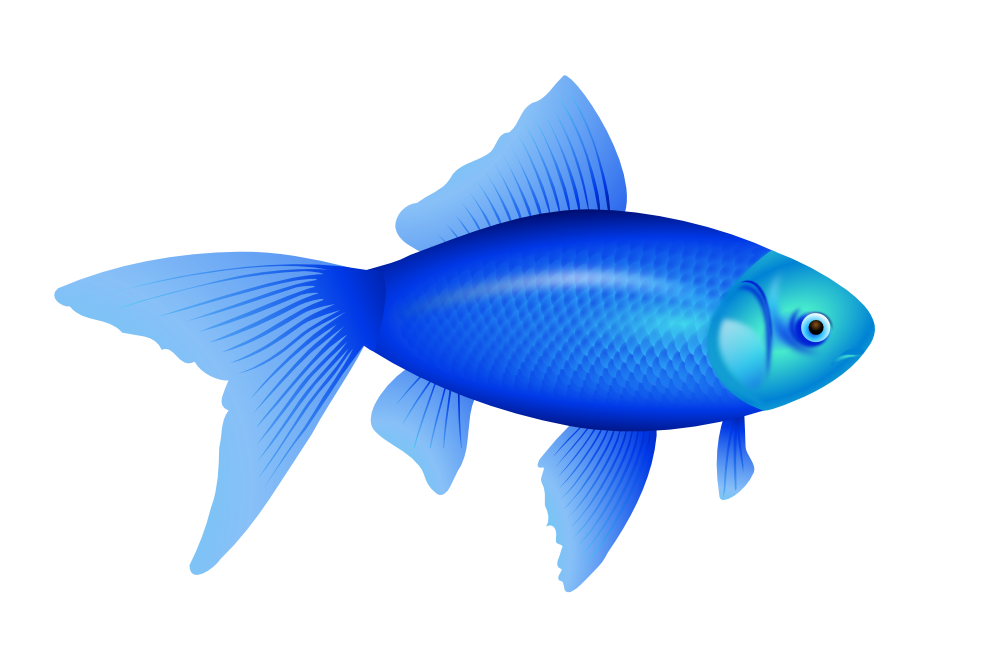 clipartist.net » Clip Art » Blue Fish Goldfish SVG