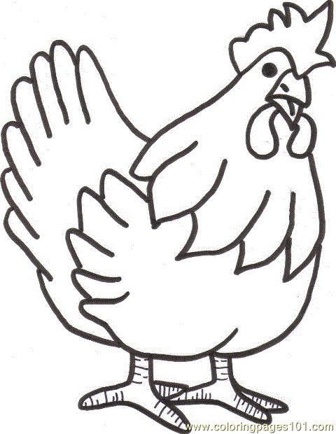 Coloring Pages Desi Chicken (Birds > Chicks, Hens and Roosters ...