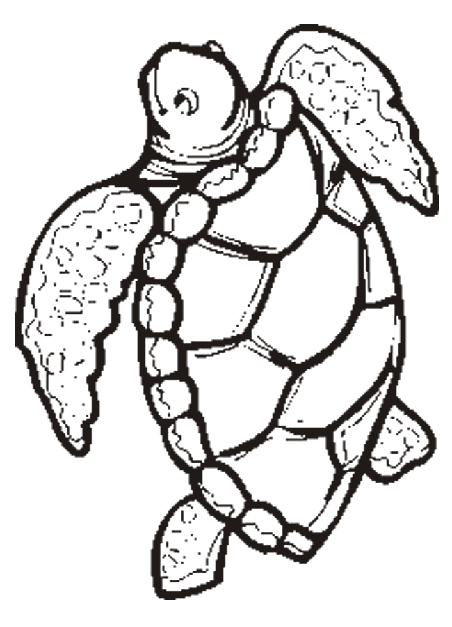 turtle outline