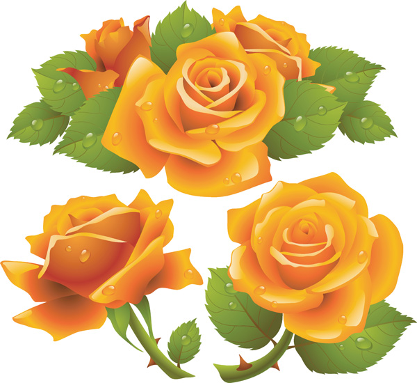 Vector Roses