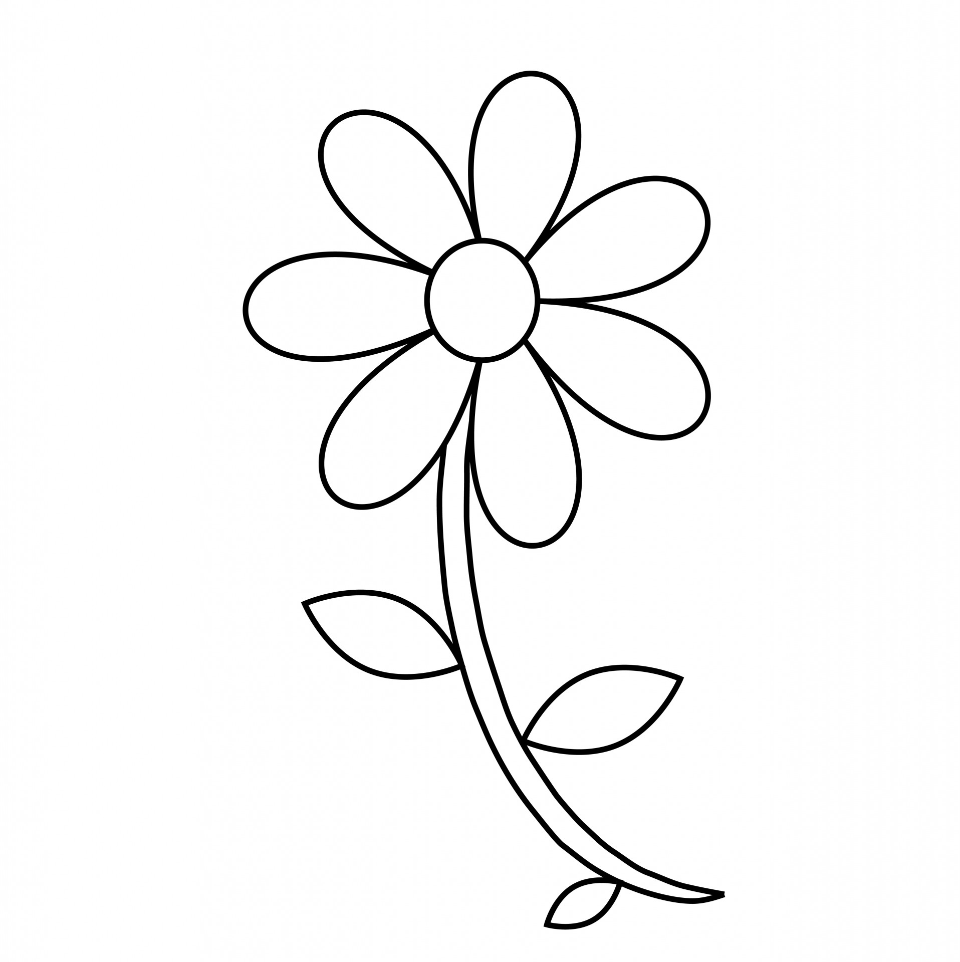 Flowers For > Black And White Flower Outline