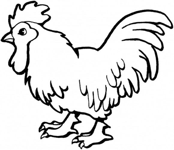 Little Rooster Farm Animal Coloring Pages - Animal Coloring pages ...