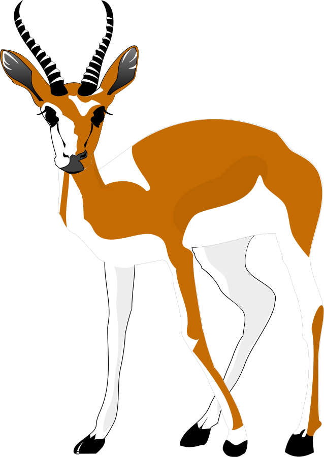 animal01_Vector_Clipart.png