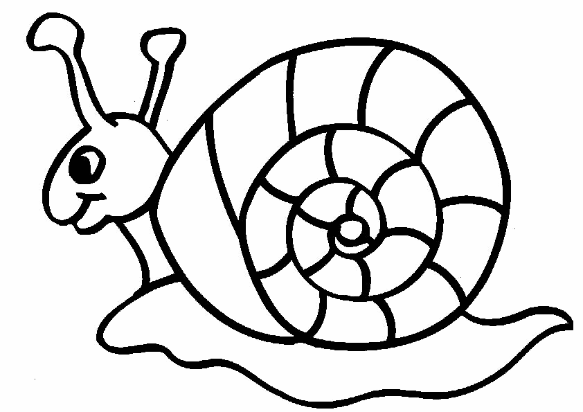 Snail coloring | coloring pages for kids, coloring pages for kids ...