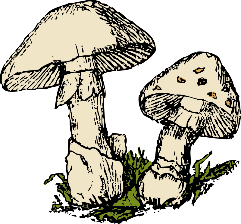 mushroom cloud clip art - photo #11