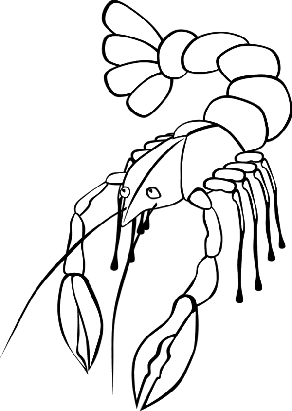 crayfish line art - vector Clip Art