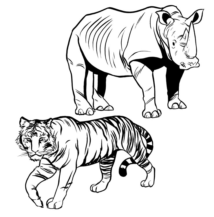 Tiger and Rhinoceros. by tojisuzuhara on deviantART
