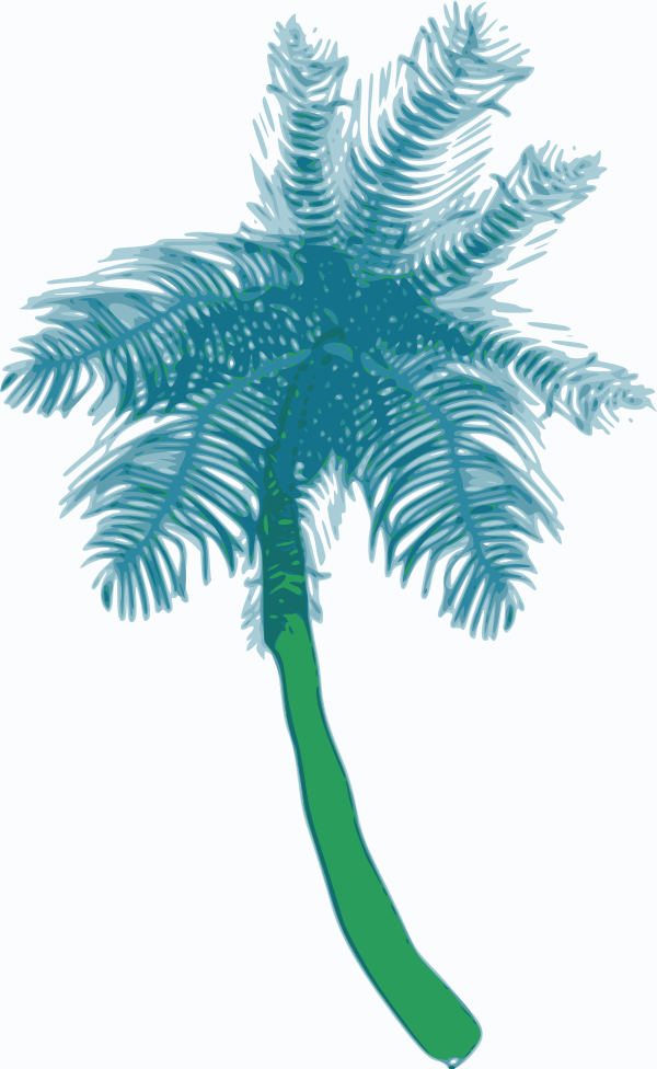 Coconut tree - vector Clip Art
