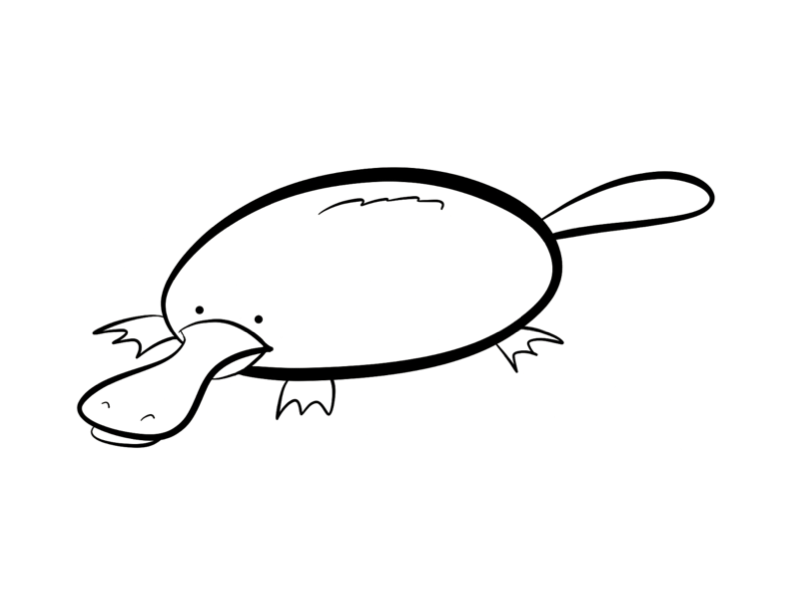 platypus babies coloring pages